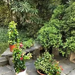Garni Florida Szálloda Ascona