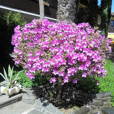 מלון Garni Florida