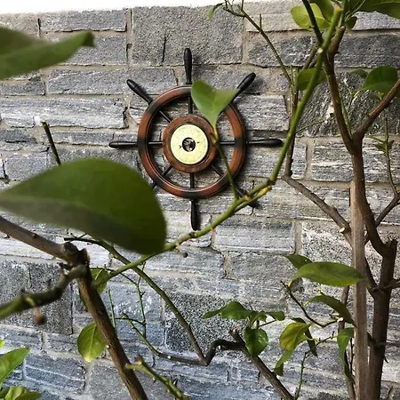 Garni Florida 2* أسكونا