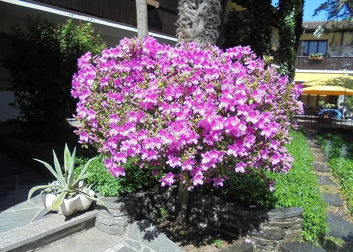 Отель Garni Florida