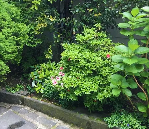 Garni Florida Hotel 2*