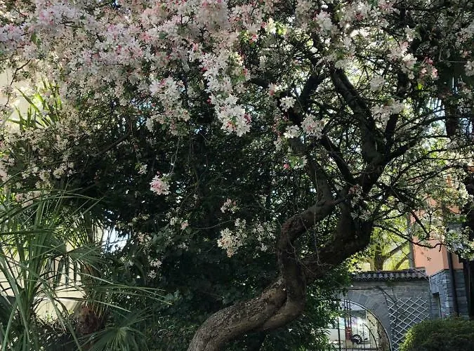 Garni Florida Hotel 2*