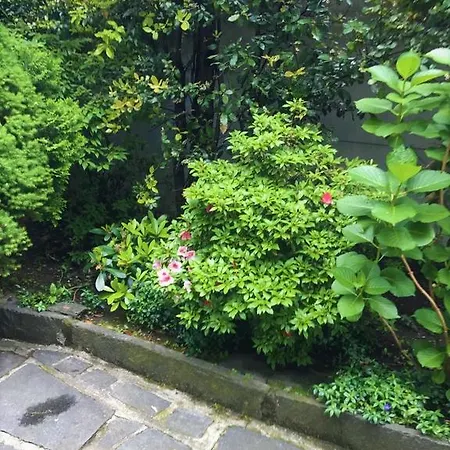 Garni Florida Hotel 2*